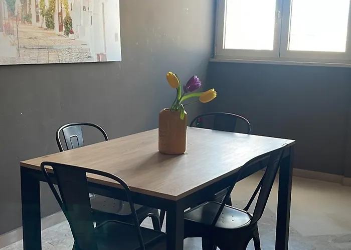 Sparano Class 8 בארי